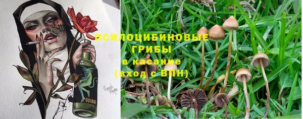 дмт Абинск