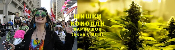 спайс Алексин