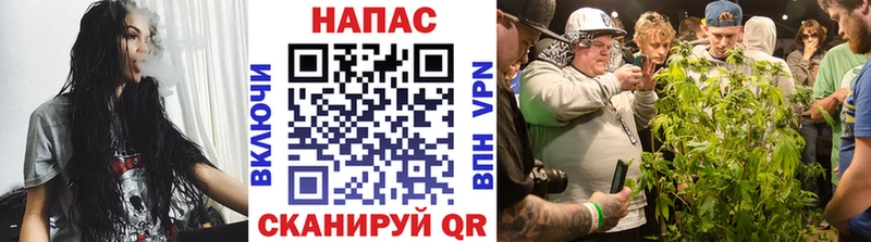 цена   Тырныауз  Бошки марихуана гибрид 